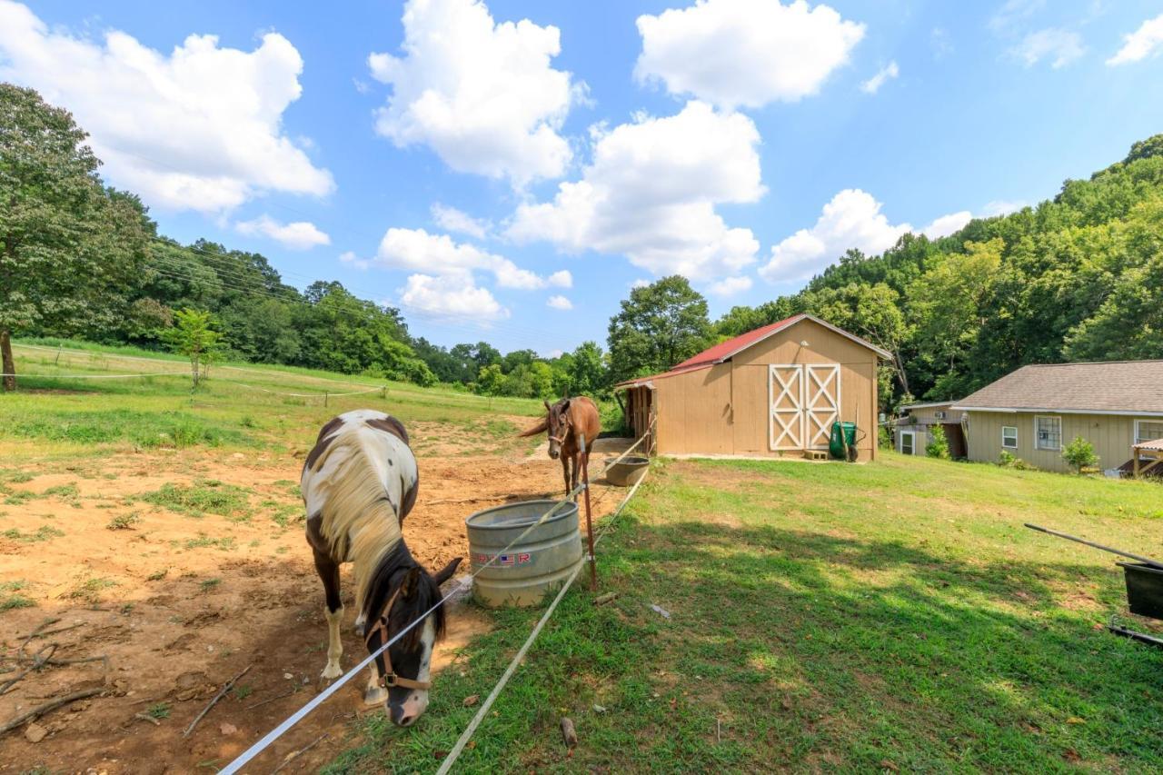 Villa Executive 4Bdr Country Getaway-Bachelor Nashville Exterior foto